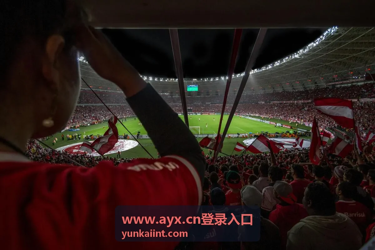 AYX登录入口登录凭证核对流程示意