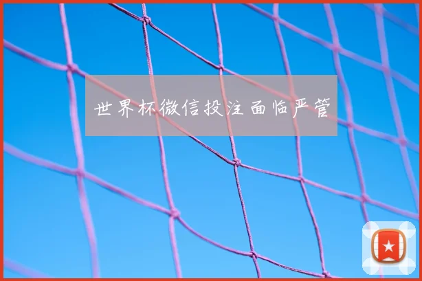 世界杯微信投注面临严管