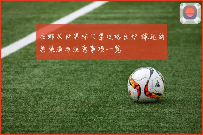 去哪买世界杯门票攻略出炉 球迷购票渠道与注意事项一览