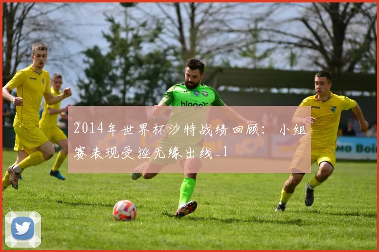 2014年世界杯沙特战绩回顾：小组赛表现受挫无缘出线_1