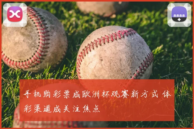 手机购彩票成欧洲杯观赛新方式 体彩渠道成关注焦点
