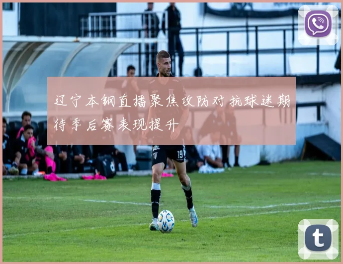 辽宁本钢直播聚焦攻防对抗球迷期待季后赛表现提升